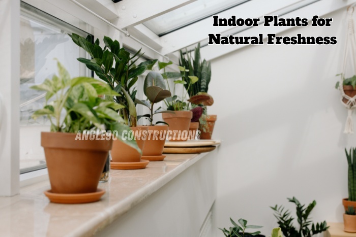 Designed by Angle90 Constructions Provides for Indoor plants arranged on a sunny window shelf in a Coimbatore home